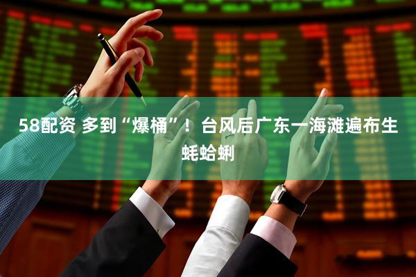 58配资 多到“爆桶”！台风后广东一海滩遍布生蚝蛤蜊