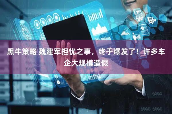 黑牛策略 魏建军担忧之事，终于爆发了！许多车企大规模造假