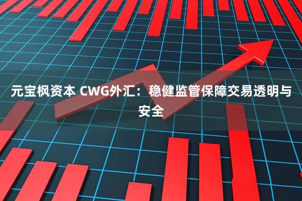元宝枫资本 CWG外汇：稳健监管保障交易透明与安全