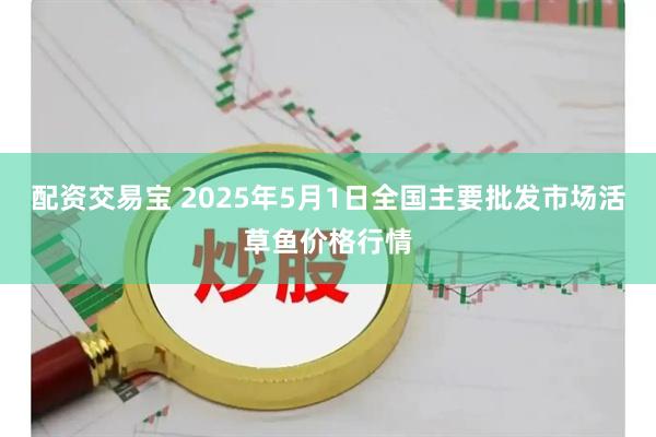 配资交易宝 2025年5月1日全国主要批发市场活草鱼价格行情