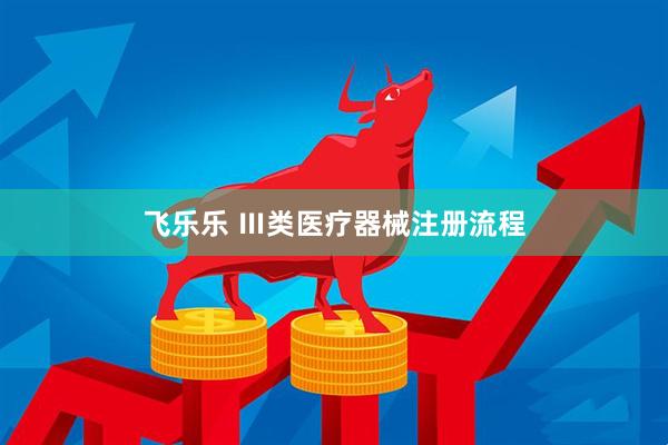 飞乐乐 Ⅲ类医疗器械注册流程